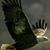 Debra Manzanares's profile image