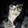 joanna.witkowski's profile image