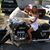 Kristin Kieffer's profile image