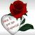 Rosales Montiel's profile image