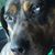 Larry Runnels's profile image