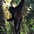 D Jessica Macaya-Scott's profile image