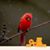 Missy Epps Watts's profile image