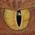 Nick Hernandez's profile image