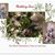 Sue Burgoyne's profile image