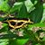 Carol J Hesse's profile image