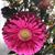 Martina Archuleta's profile image