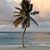 Jody Gerrell's profile image