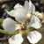 Kristi Dummitt's profile image