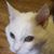 Heather Millette's profile image