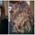 Joanie Fittizzi's profile image