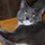 Mary Montoya Lerma's profile image