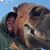 Kim Reis's profile image