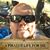 Mike Sloop's profile image