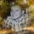 Donna Vetri's profile image