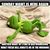 Trish Lynn Rogalski's profile image