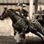 Kathy Kerns Miller's profile image
