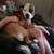 Linda Enyeart's profile image
