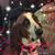 Gerry Copeland's profile image