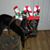 Stephanie Plucker's profile image