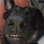 Sherry Rush's profile image