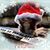 Karl Lobring's profile image