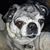 Shannon VanMeter Gachne's profile image
