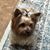 Shirley Pope Tinnin's profile image