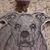 Wendy Spires Dryden's profile image