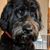 David Christopher's profile image