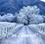 Annie Ruth Limbough's profile image