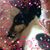 Patti Denner's profile image