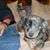 Jackie Kelch's profile image