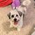 Caleb Mader's profile image