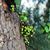 Mastic Nguyen's profile image