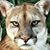 Robert Broom's profile image