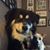 Ron Caton's profile image