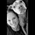 Kristi Marshall's profile image