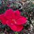Janeth Medina S. Ayoub's profile image