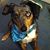 Kathy Quintin's profile image