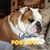 Ruth Huffman-Mann's profile image