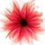 Ronica Hurst Otterstrom's profile image