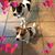 Kelley Lynn Fussenegger's profile image