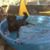 Roberta Jean McCoy-Sharman's profile image