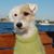Kristi Patterson's profile image
