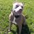 Chrissy Junte's profile image