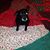 Leslie Warren Odom's profile image
