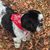 Susan Cook Caccavella's profile image