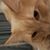 Nancy Loughney's profile image