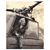 Elisa Katherine's profile image